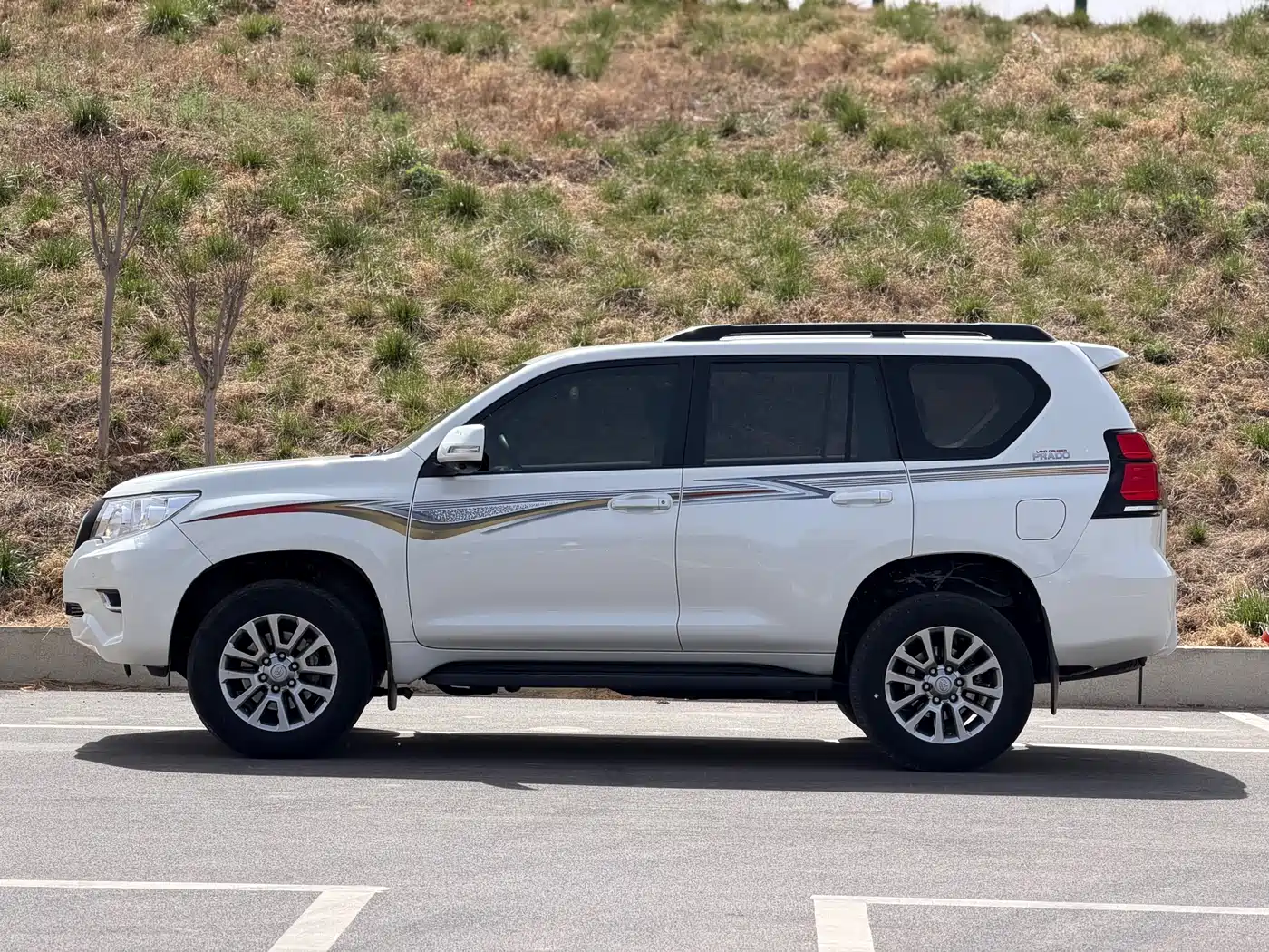 TOYOTA PRADO