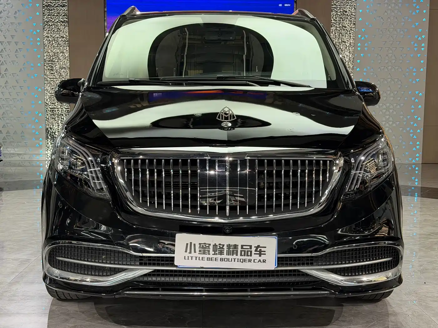 Mercedes-Benz Vito 2018 2.0T Business Edition China VI фото 2