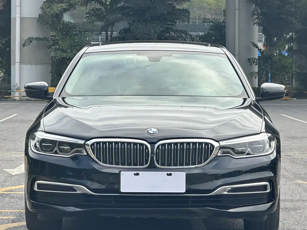 BMW 5 Series 2020 530Li Leading Luxury Package фото 2