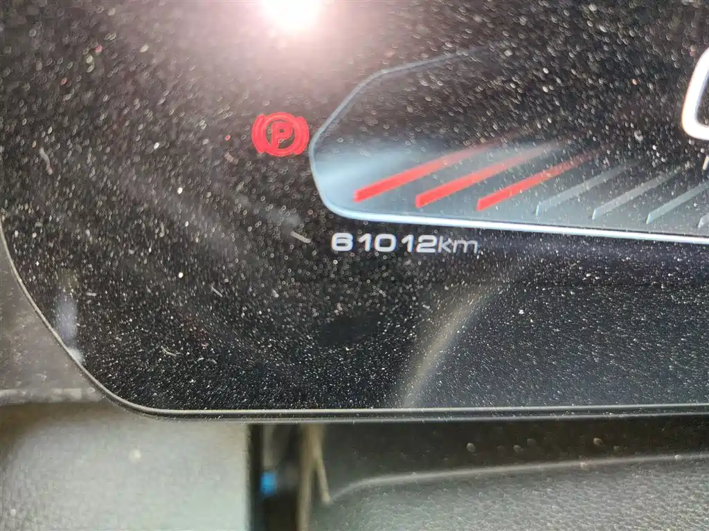 Haval Big Dog 2022 1.5T DCT FWD Border Collie Edition фото 8