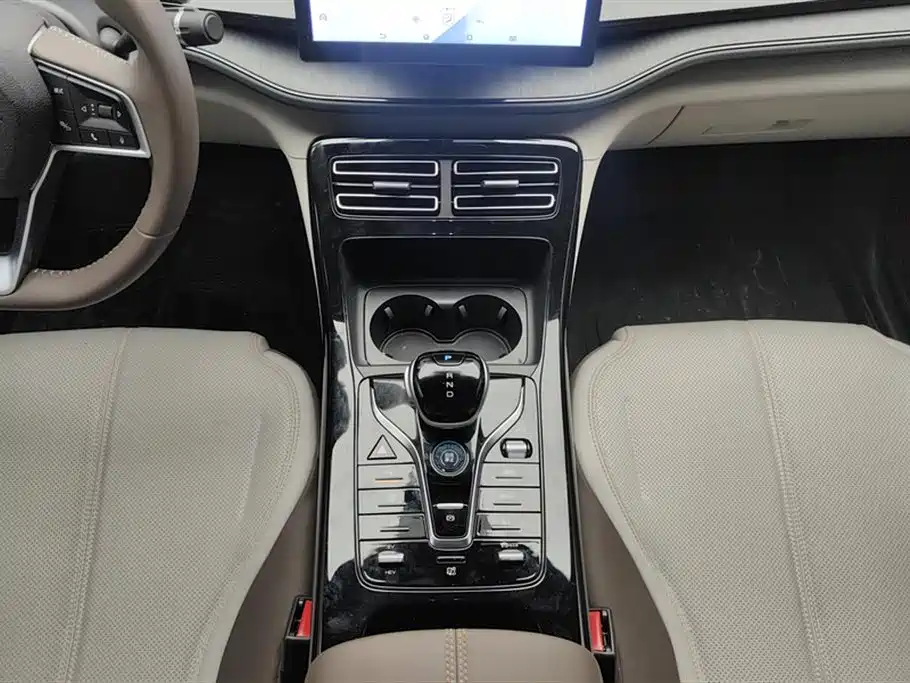 BYD Qin PLUS 2023 Champion Edition DM-i 55KM Leading фото 16