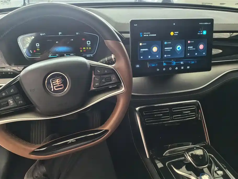 BYD Tang New Energy 2021 DM-i 112KM Premium фото 12