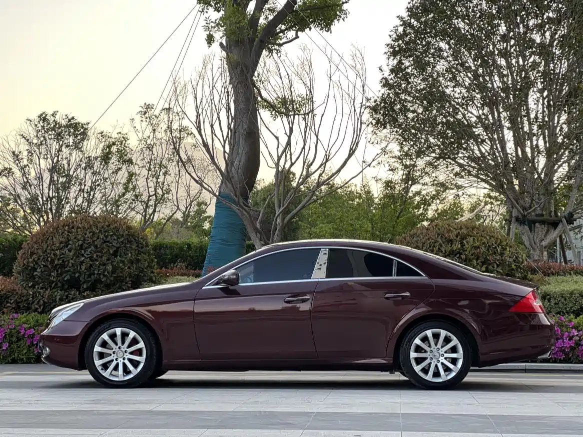 Mercedes-Benz CLS 2009 CLS 300 фото 17