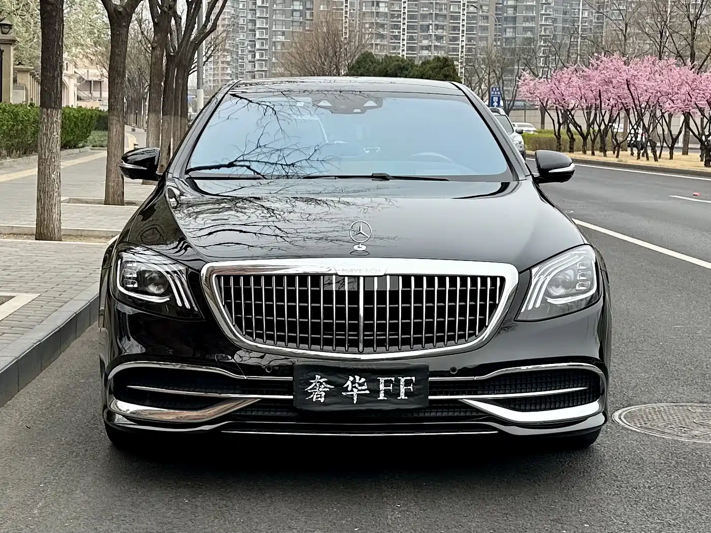 Mercedes-Benz Maybach S-Class 2019 S 450 4MATIC фото 2