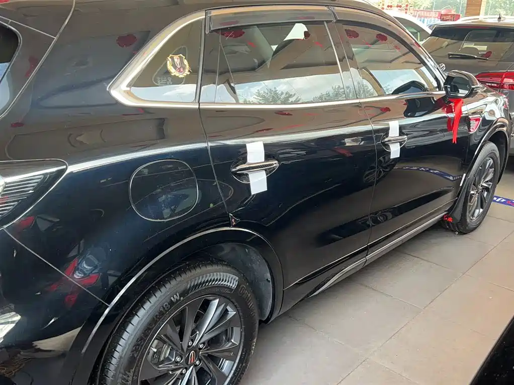 Hongqi HS5 2023 2.0T Flag Enjoy Pro Edition фото 10