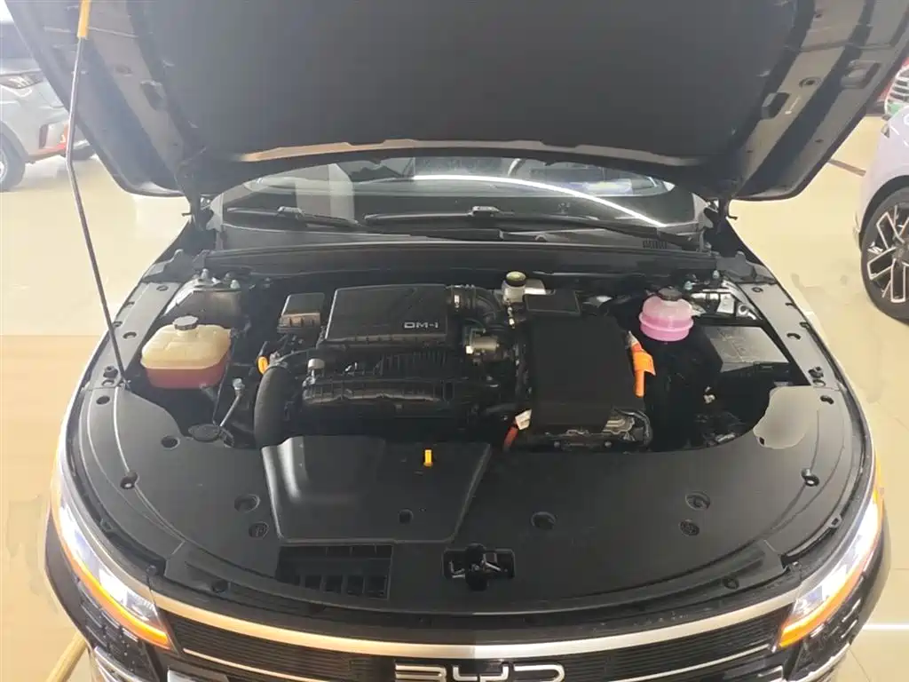 BYD Destroyer 05 2024 Glory Edition DM-i 55KM Luxury фото 20