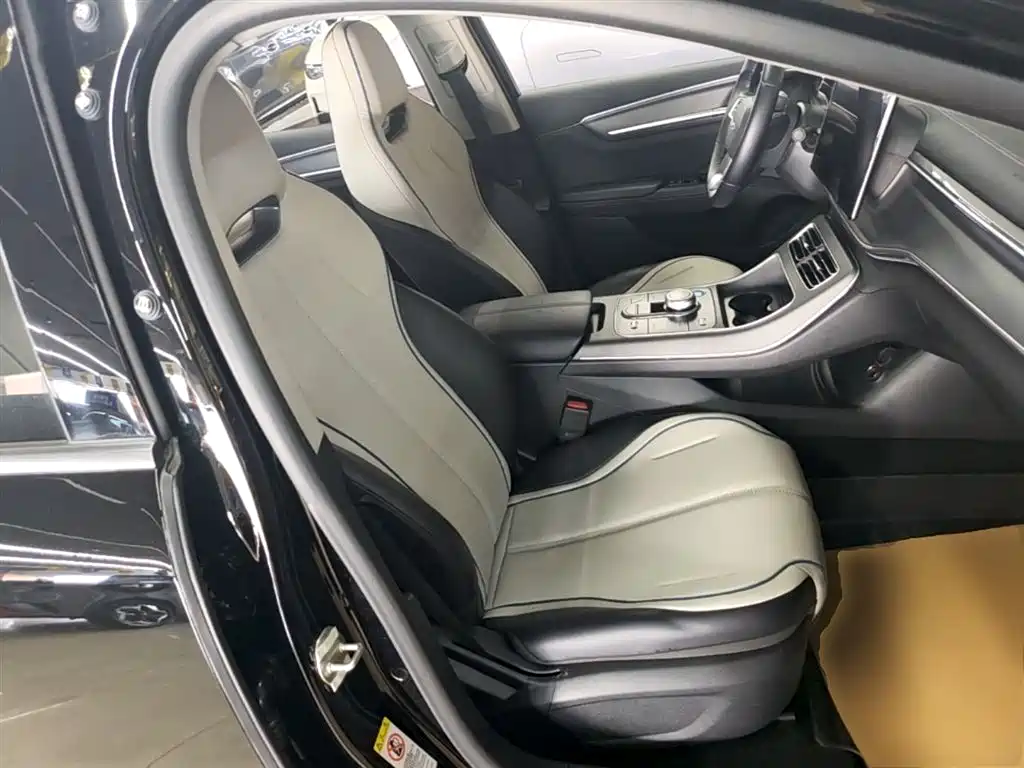 BYD Destroyer 05 2024 Glory Edition DM-i 55KM Luxury фото 25