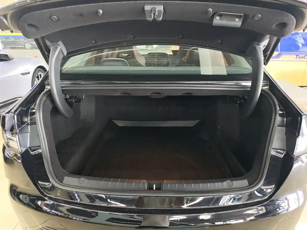 BYD Destroyer 05 2024 Glory Edition DM-i 55KM Luxury фото 19