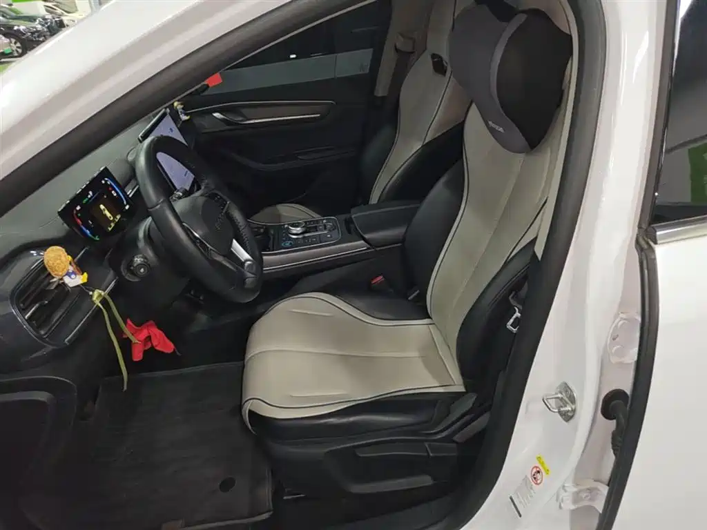 BYD Destroyer 05 2024 Glory Edition DM-i 55KM Luxury фото 15