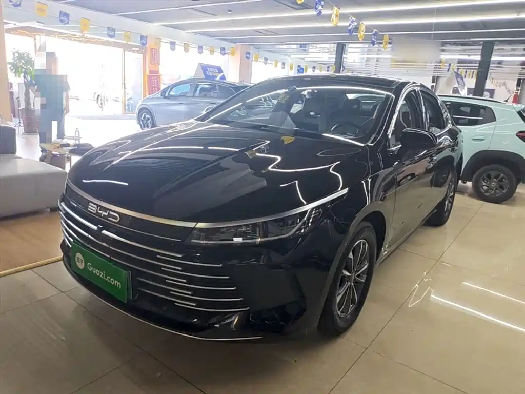 BYD Destroyer 05 2024 Glory Edition DM-i 55KM Luxury фото 2