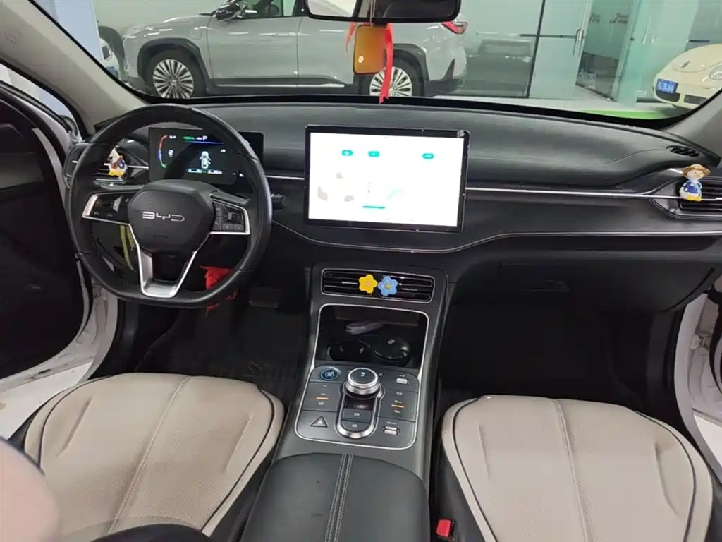 BYD Destroyer 05 2024 Glory Edition DM-i 55KM Luxury фото 10