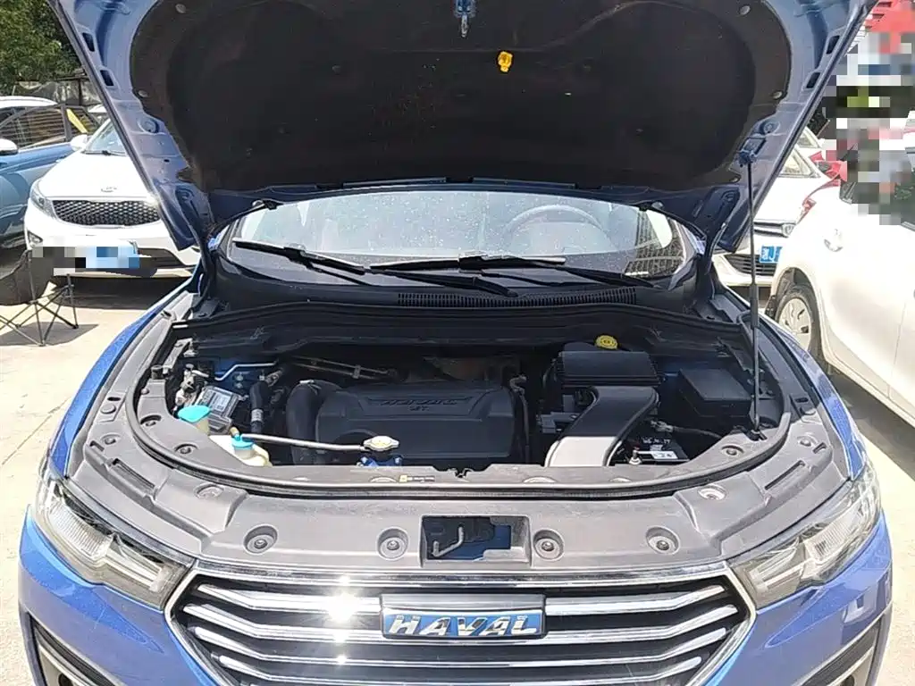 Haval H2s 2018 Blue Label 1.5T DCT Elite фото 19