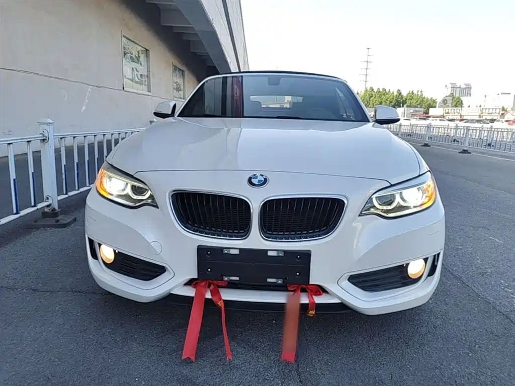 BMW 2 Series (Import) 2015 218i Convertible Coupe фото 3