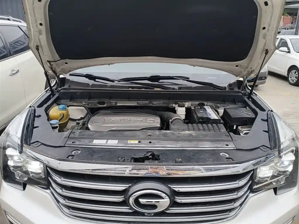 GAC Trumpchi Trumpchi GS8 2017 320T 2WD Luxury Smart Connect (7-seater) фото 20