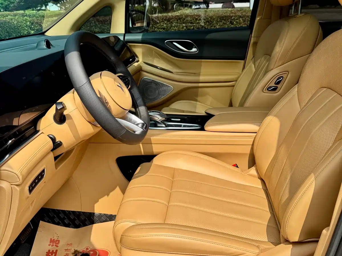 Voyah Auto Voyah Dreamer 2024 PHEV Extended Range Premium Edition фото 4