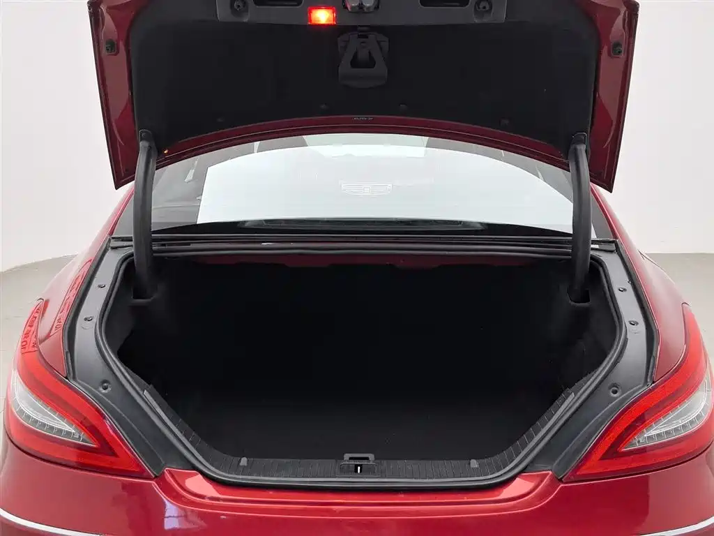 Mercedes-Benz CLS 2012 CLS 300 CGI фото 16