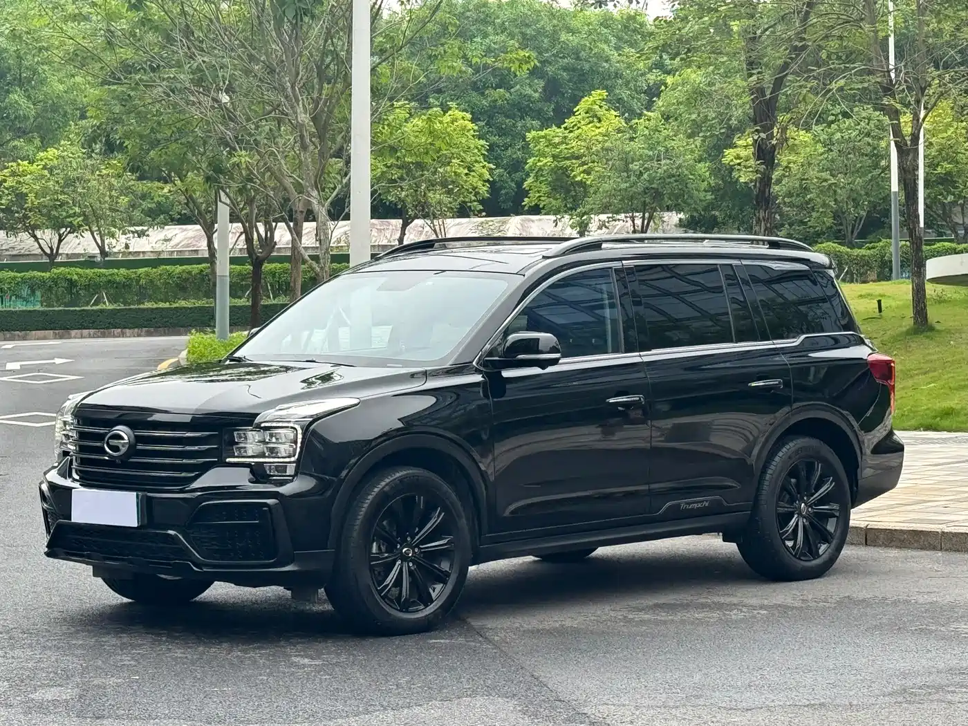 GAC Trumpchi Trumpchi GS8 2021 390T 2WD Dark Night Knight Edition