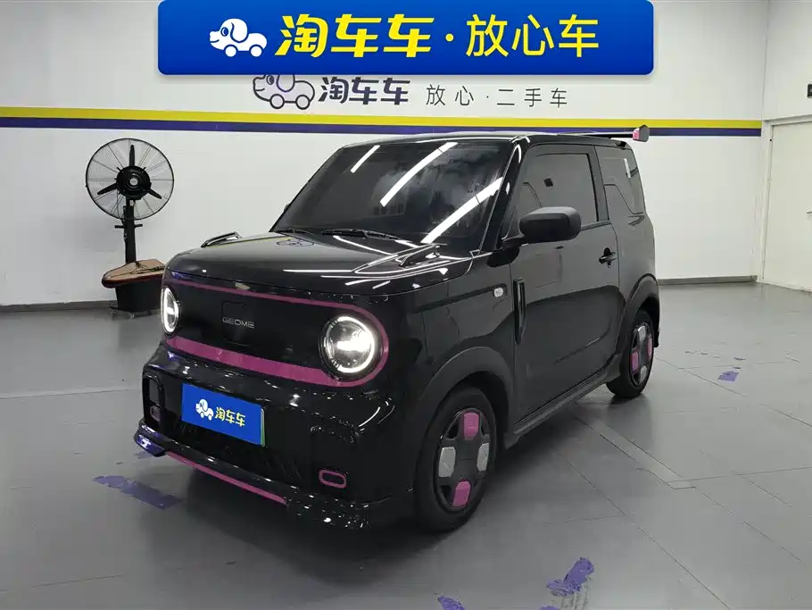 Geely Galaxy Panda 2025 Model Year 210km Panda Kart