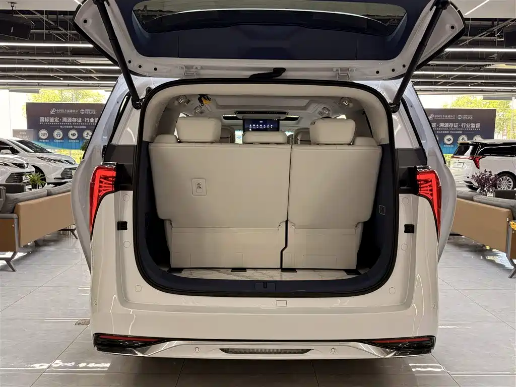 Buick Century 2025 2.0T 7-Seater World Edition фото 31