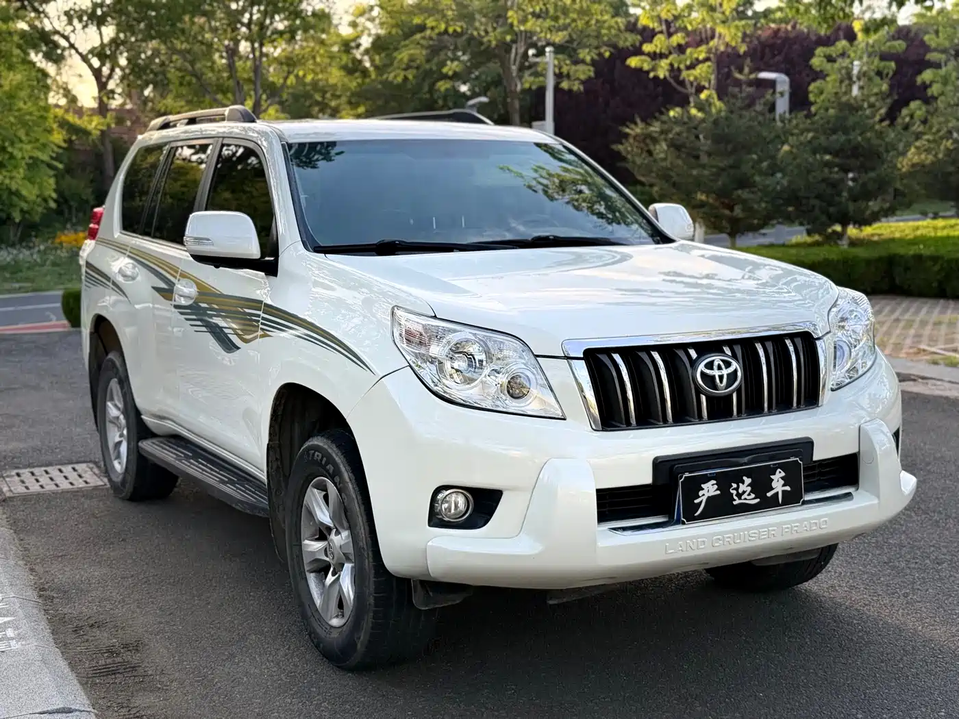 Toyota Prado (Import) 2010 2.7L Automatic Standard фото 3