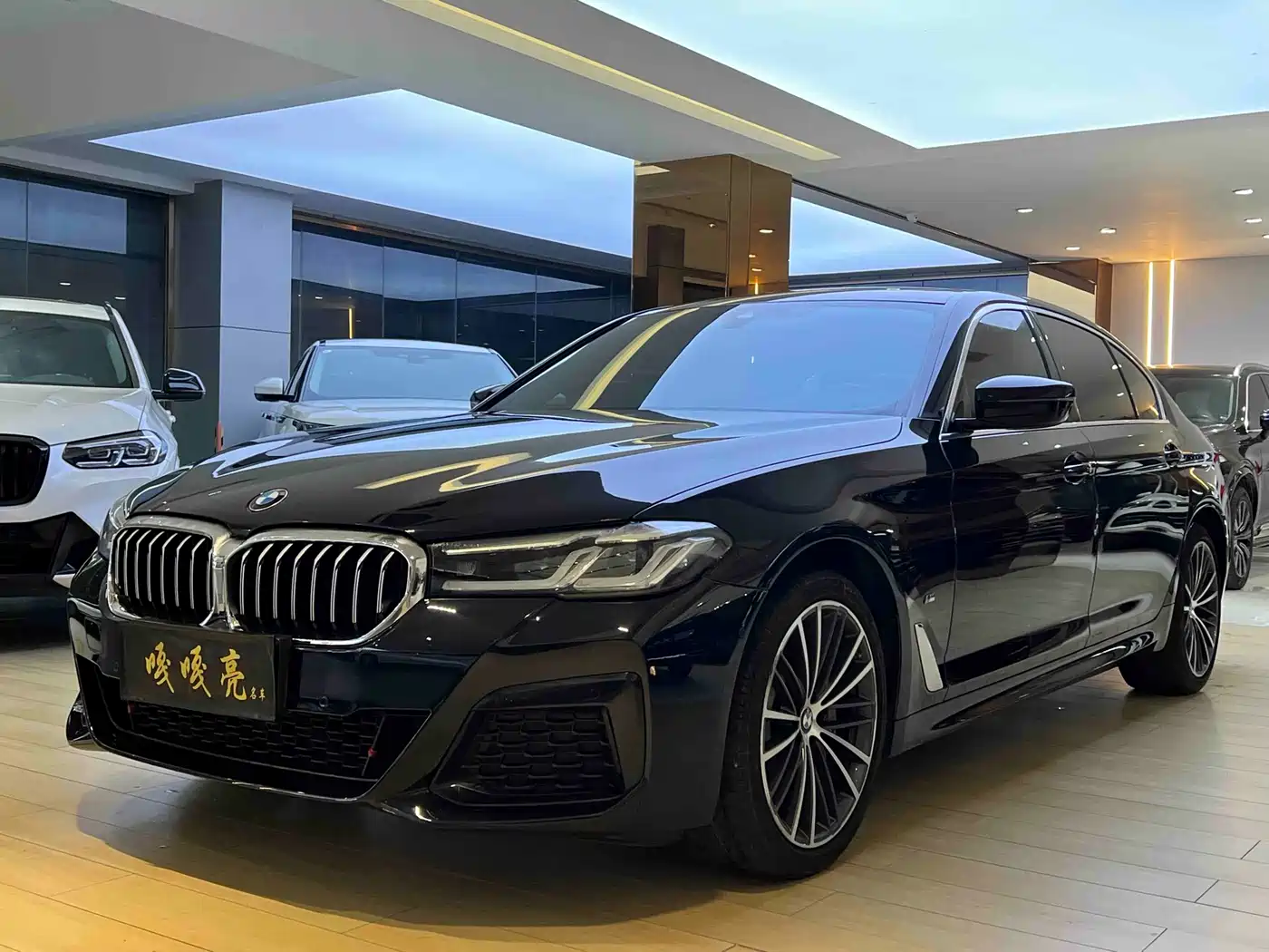 BMW 5 Series 2022 530Li Leading M Sport Package