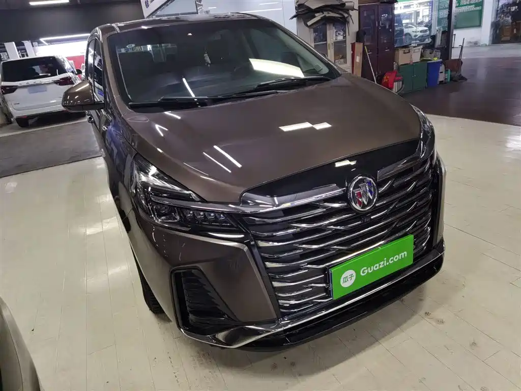 Buick GL8 2023 Land Business Class 652T Luxury фото 22
