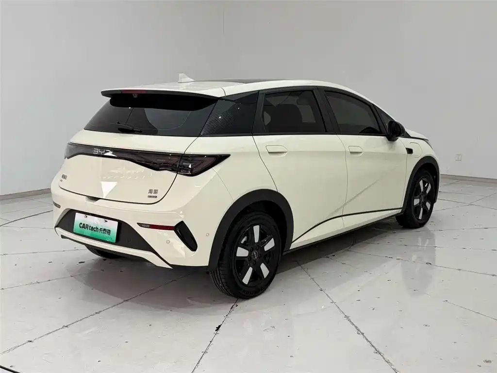 BYD Dolphin 2025 Smart Drive Edition 410km Fashion Version фото 8