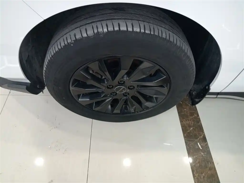 Dongfeng Fengxing Fengxing T5 EVO 2024 2024 1.5TD DCT Starry Sky Edition