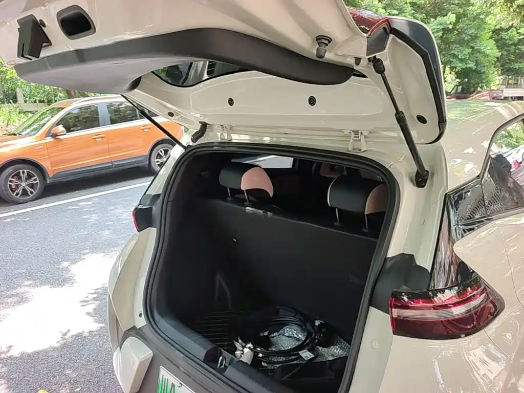BYD Seagull 2026 2025 Smart Drive Edition 305km Freedom Version