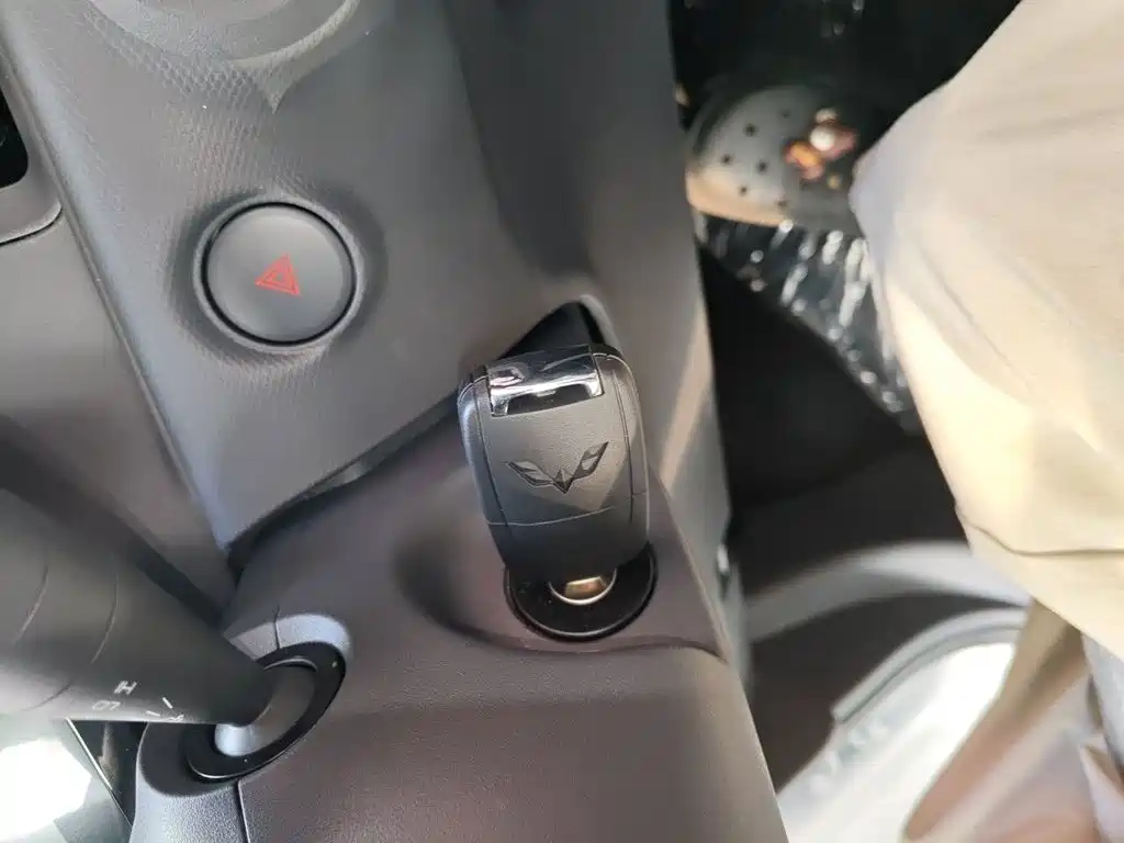Wuling Motors Wuling Zhiguang NEV 2026 2025 Model 305km Base Version