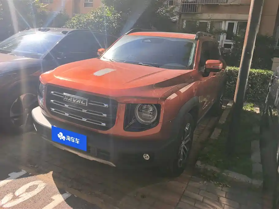 Haval Big Dog 2021 1.5T DCT 2WD Border Collie Edition