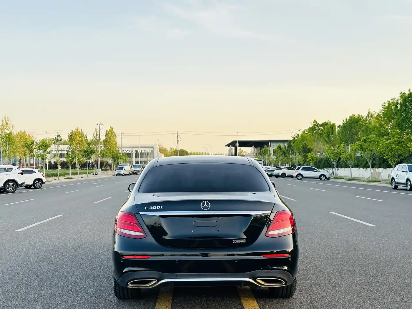 Mercedes-Benz E-Class 2017 E 300 L Sport Fashion фото 5