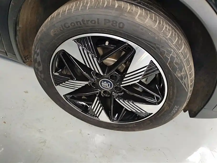 BYD Tang New Energy 2024 DM-i Honor Edition 112KM Premium фото 6