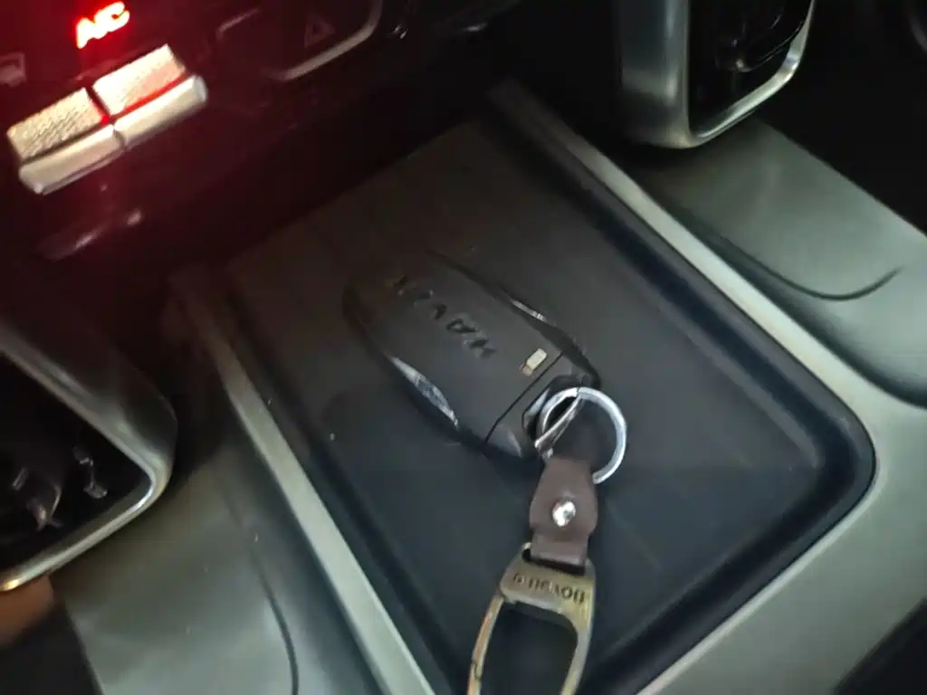 Haval Dargo 2021 2021 1.5T DCT 2WD Labrador Edition