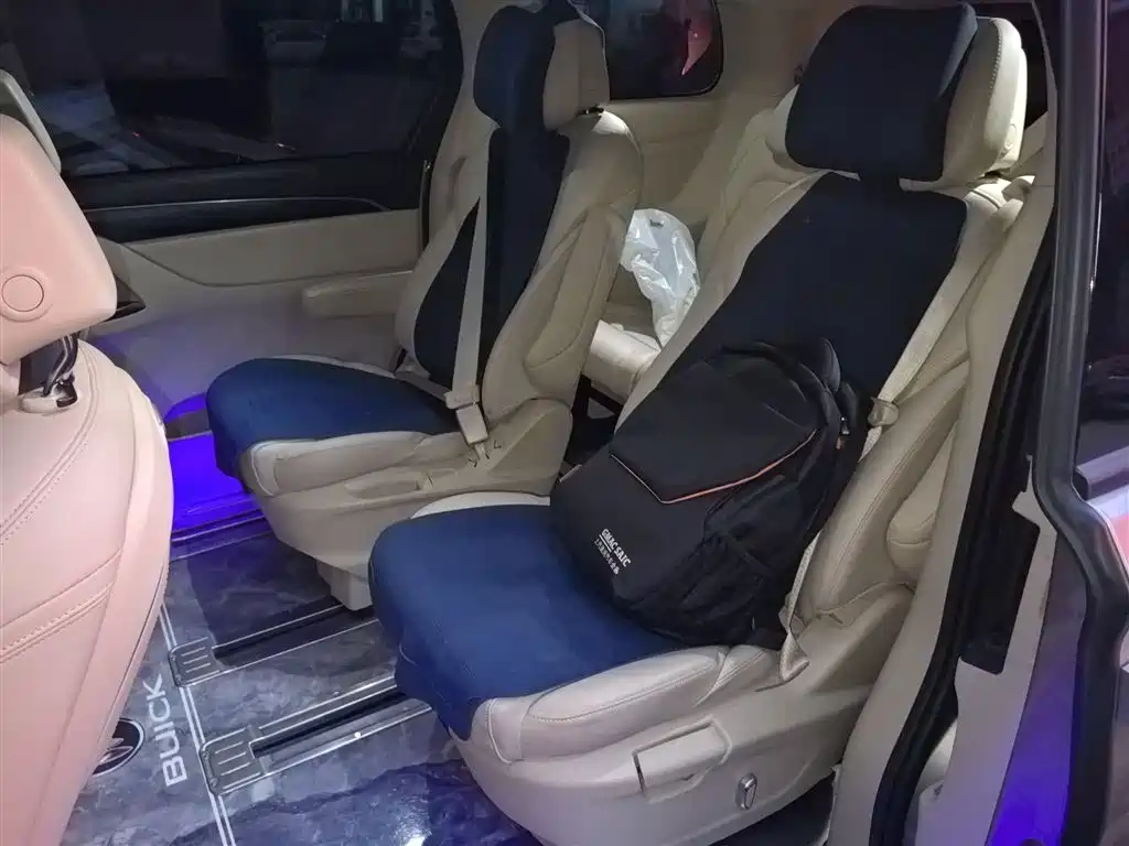Buick GL8 2023 ES Landmaster Exclusive фото 14