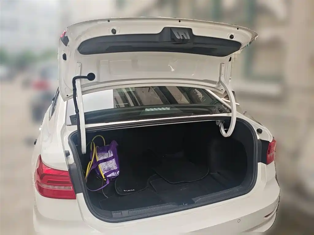 Volkswagen VW Lavida EV 2019 Premium Edition фото 10