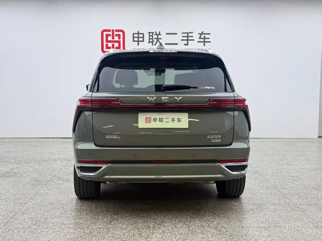 2025 WEY Lanshan