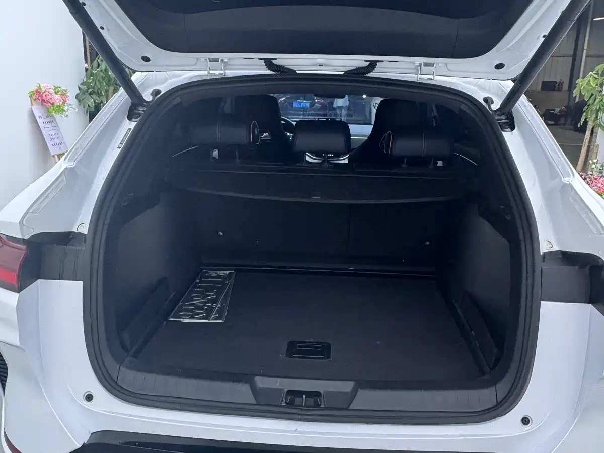 BYD Song PLUS PHEV 2024 Glory Edition DM-i 110km Flagship фото 4