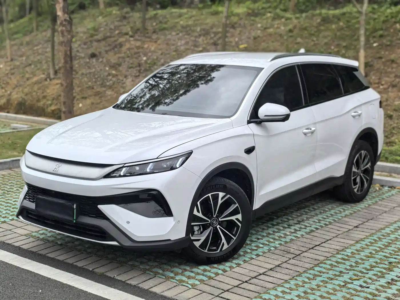 BYD SONGJIANG NEW ENERGY