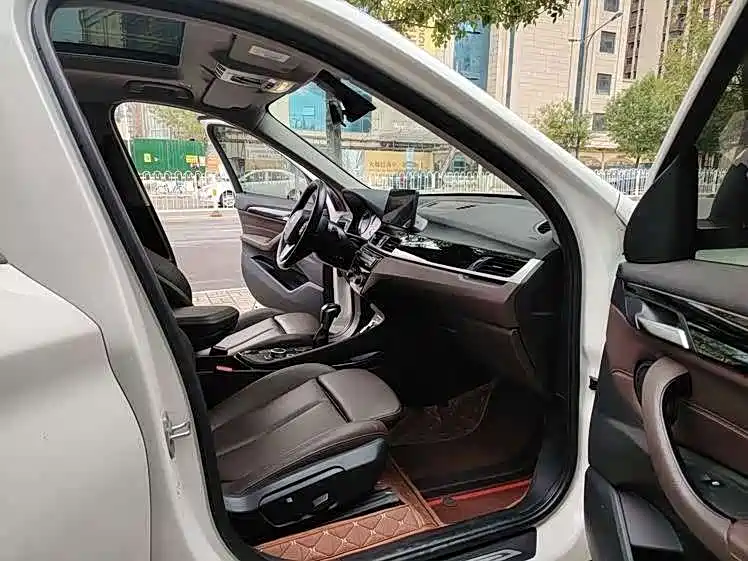 BMW X1 New Energy 2020 2020 xDrive30Le Premium Edition