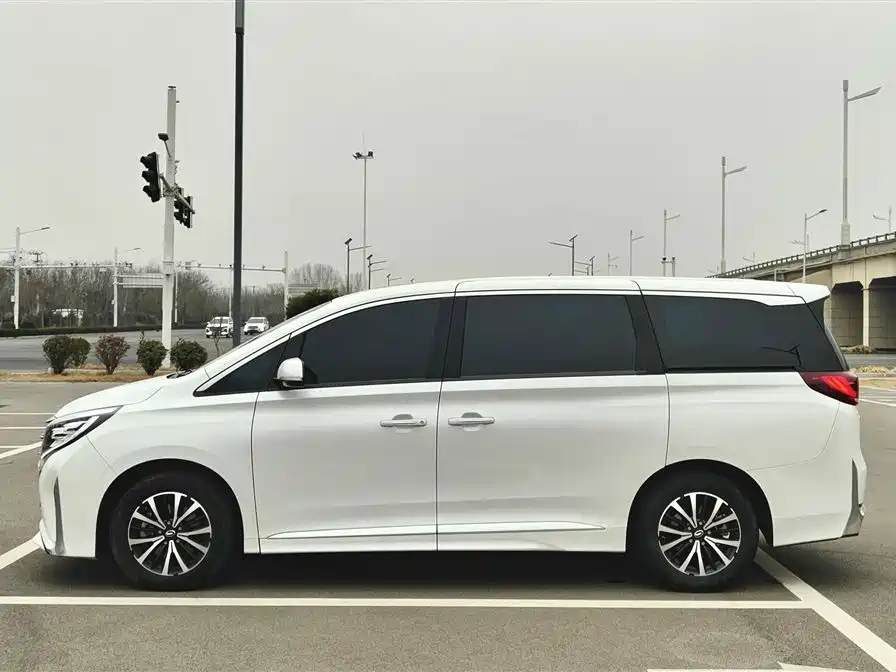 GAC Trumpchi Trumpchi M8 2023 Leading Series 390T Luxury Edition фото 5