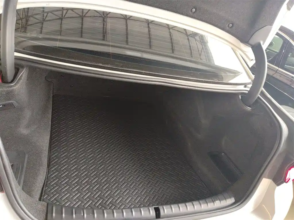BMW 5 Series 2019 530Li Leading M Sport Package фото 15
