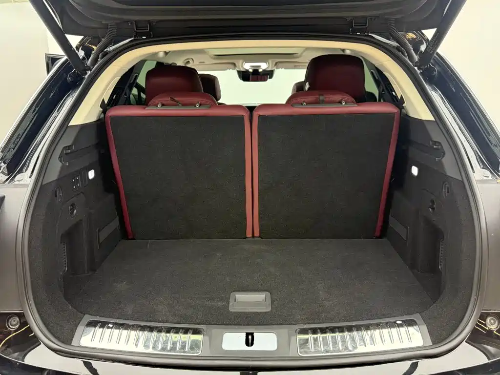 Фото 6 - Hongqi E-HS9