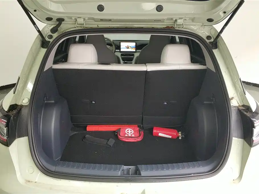 Geely Galaxy Starry Wish 2026 Edition 310km Youth Version фото 4