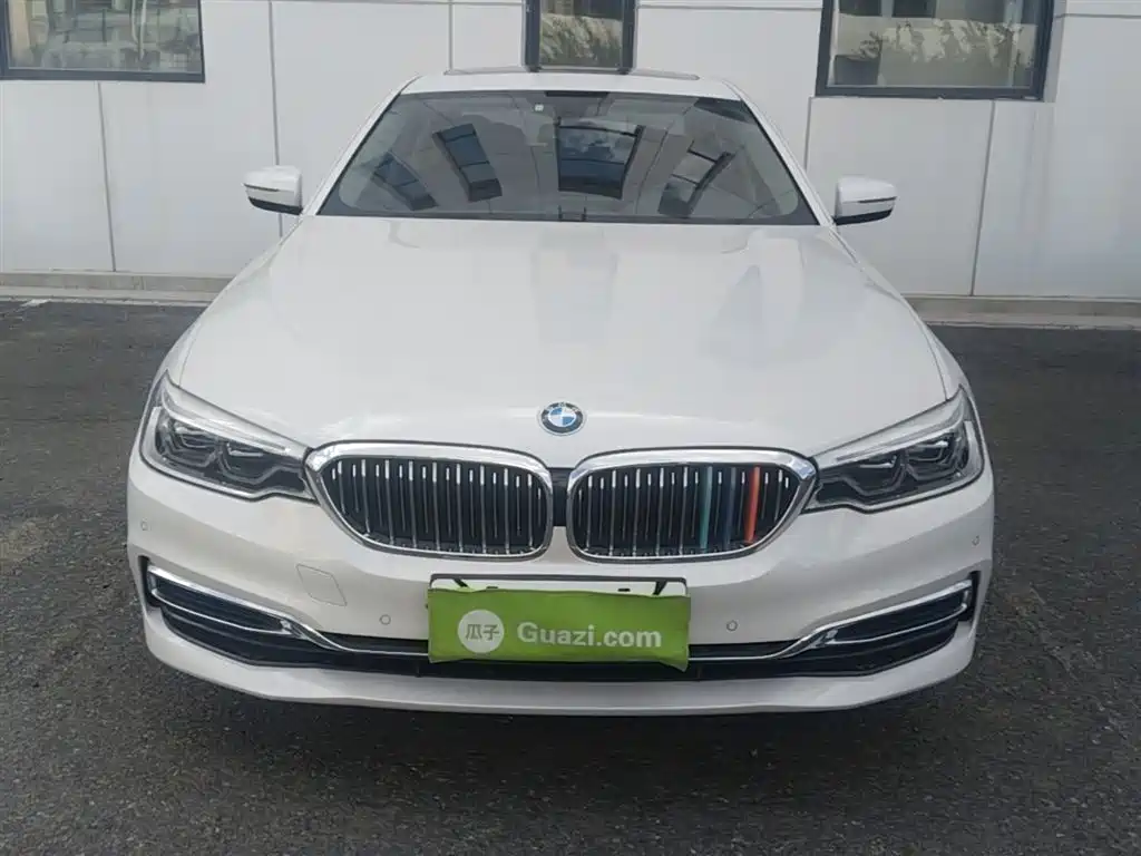 BMW 5 Series 2020 530Li xDrive Luxury Package фото 5