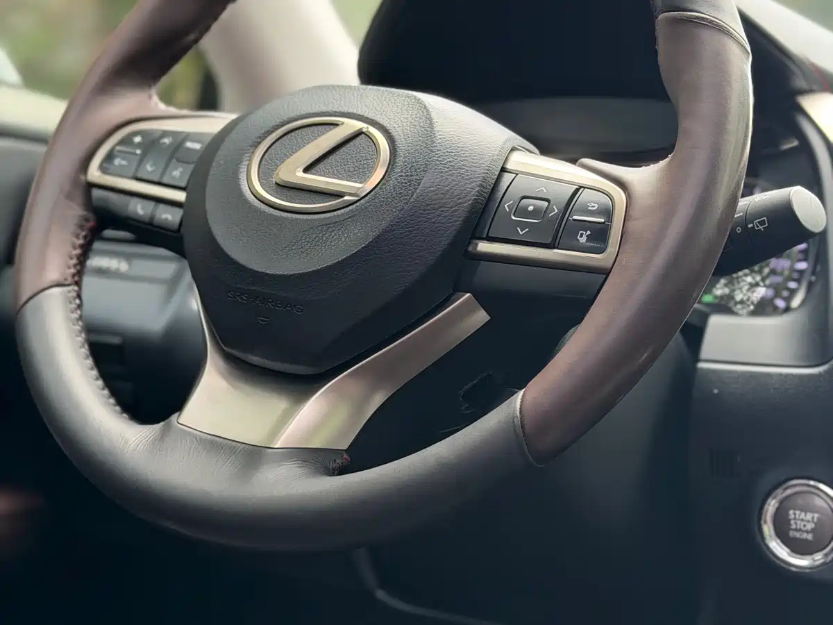 Lexus RX 2016 300 4WD Elegance Edition (China V) фото 10