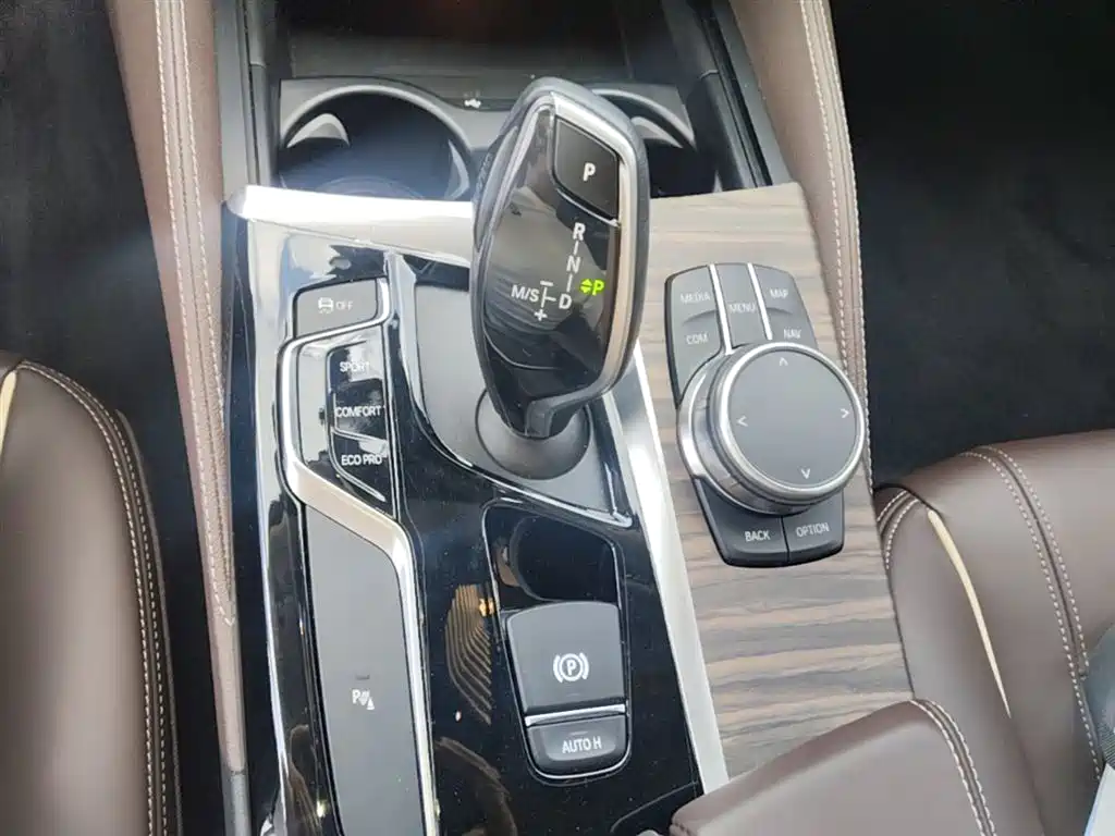 BMW 5 Series 2020 530Li xDrive Luxury Package фото 21