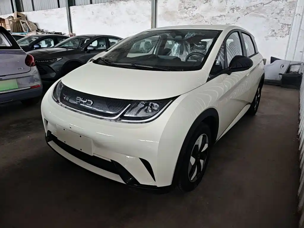BYD Dolphin 2026 2025 420km Freedom Edition