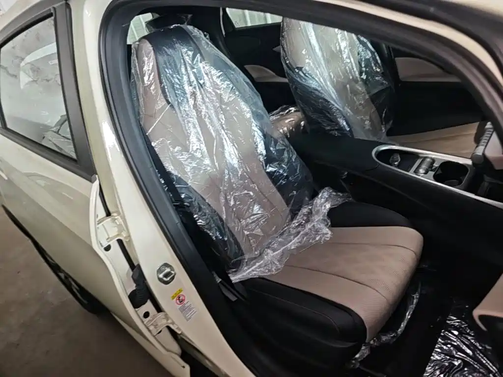 BYD Dolphin 2026 2025 420km Freedom Edition