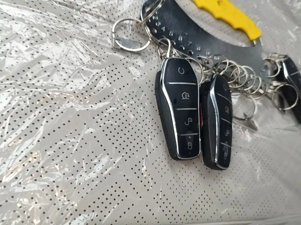 BYD Yuan UP 2026 2025 Model 301KM Navigator